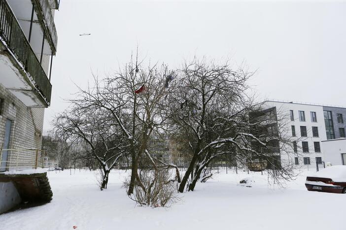 Klaipėdos nakvynės namų aplinka