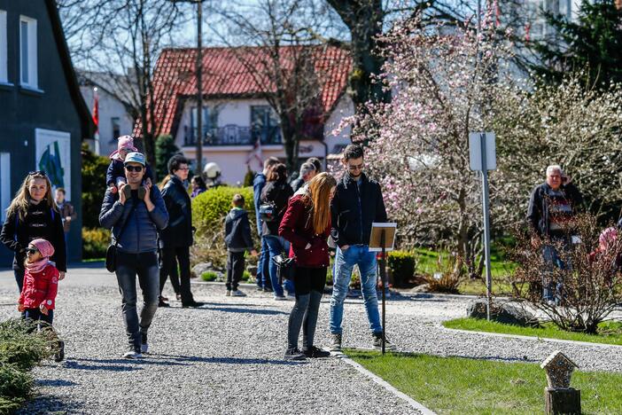 Botanikos sode - Pasaulinė Motinos Žemės diena