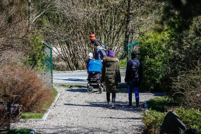 Botanikos sode - Pasaulinė Motinos Žemės diena