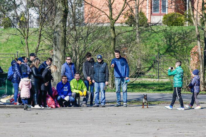 Darom 2018 Klaipėdoje