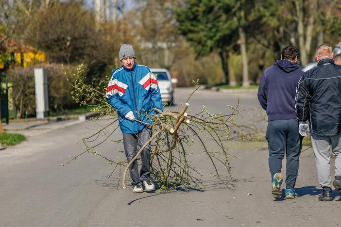 Darom 2018 Klaipėdoje