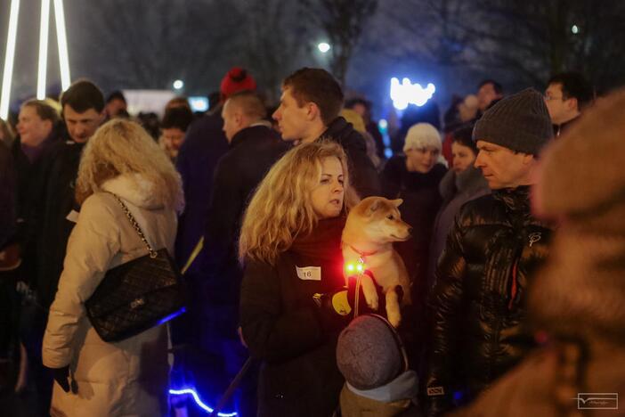 Šviesų projektas "Mama, tėtis aš ir šuo"