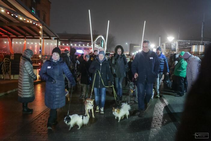 Šviesų projektas "Mama, tėtis aš ir šuo"