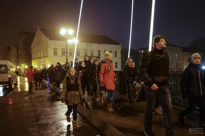 Šviesų projektas "Mama, tėtis aš ir šuo"