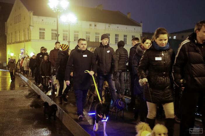 Šviesų projektas "Mama, tėtis aš ir šuo"