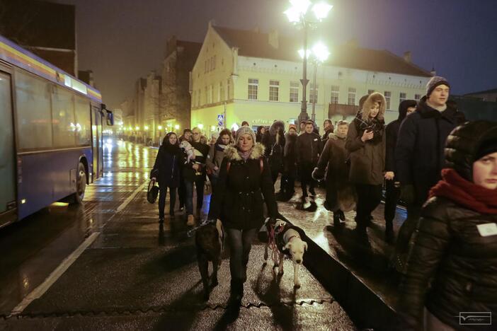 Šviesų projektas "Mama, tėtis aš ir šuo"