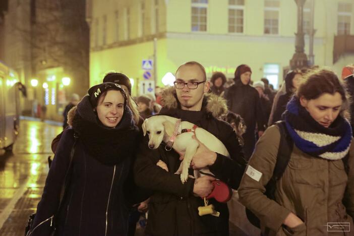 Šviesų projektas "Mama, tėtis aš ir šuo"