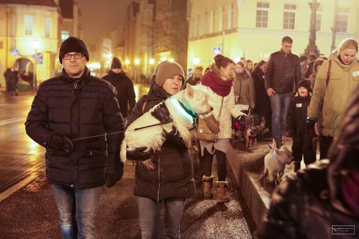 Šviesų projektas "Mama, tėtis aš ir šuo"