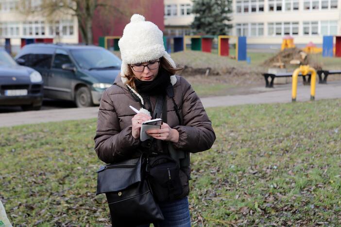 Susivieniję klaipėdiečiai gelbėjo gulbę