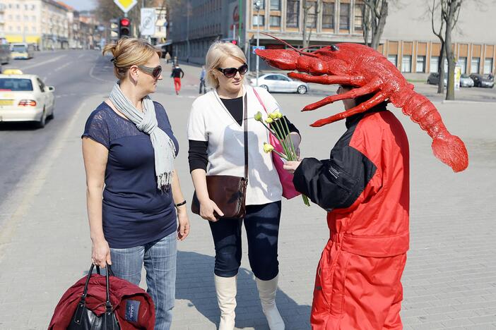 Klaipėdos gatvėse dalinami narcizai