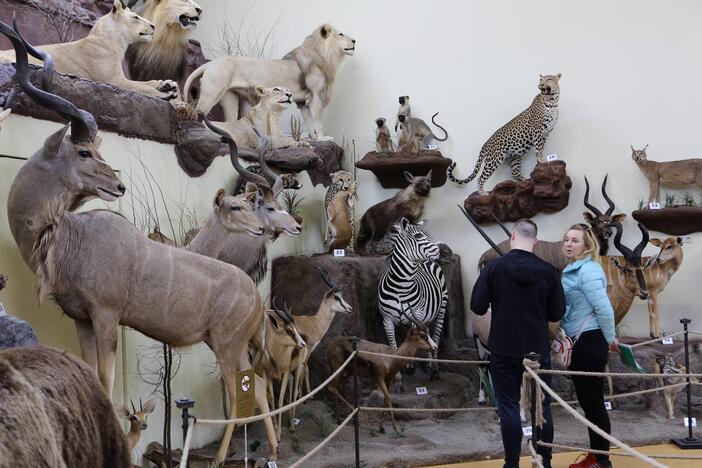 Zoologijos sode - nauji gyventojai