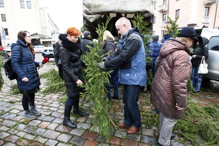 Eglės šakų dalinimas Klaipėdoje