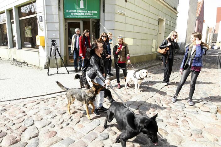 Pristatytas draugiškų gyvūnams vietų žemėlapis