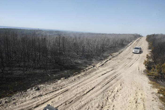 Kuršių nerijos gaisrą sutramdė gausios ugniagesių ir kariškių pajėgos