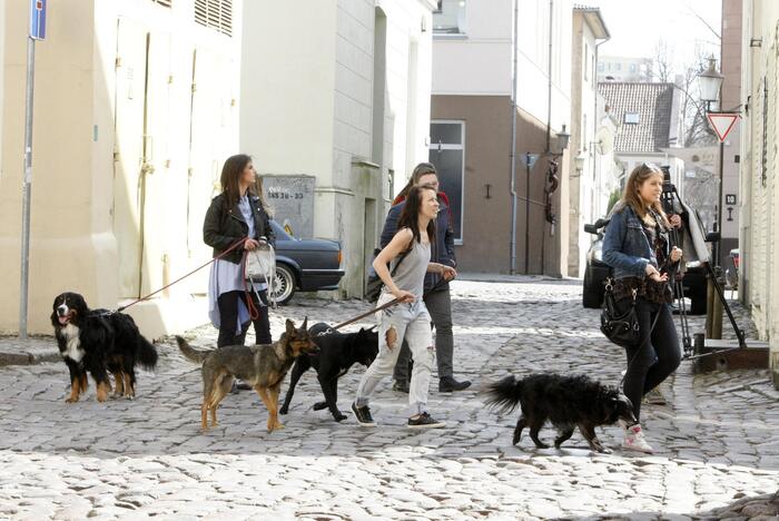 Pristatytas draugiškų gyvūnams vietų žemėlapis