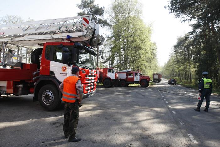 Kuršių nerijos gaisrą sutramdė gausios ugniagesių ir kariškių pajėgos