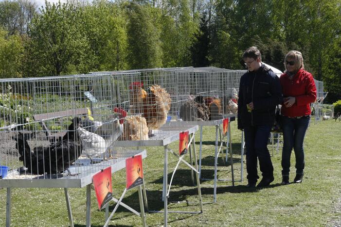 Augalų žavadienis Klaipėdos botanikos sode