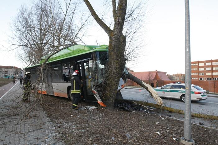 Kraupi avarija Klaipėdoje: autobusas rėžėsi į medį, sužeisti keleiviai 