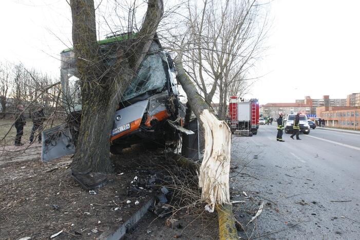 Kraupi avarija Klaipėdoje: autobusas rėžėsi į medį, sužeisti keleiviai 