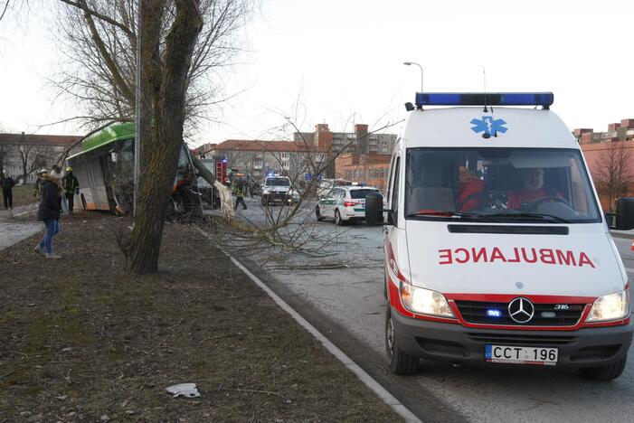 Kraupi avarija Klaipėdoje: autobusas rėžėsi į medį, sužeisti keleiviai 