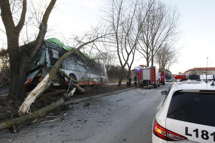 Kraupi avarija Klaipėdoje: autobusas rėžėsi į medį, sužeisti keleiviai 