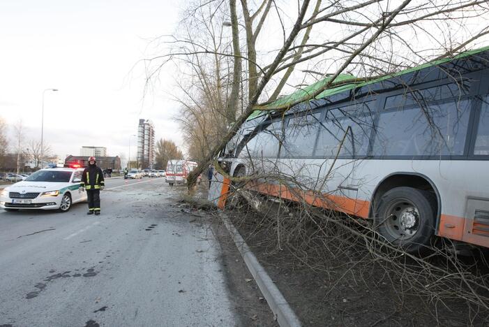 Kraupi avarija Klaipėdoje: autobusas rėžėsi į medį, sužeisti keleiviai 