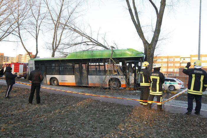 Kraupi avarija Klaipėdoje: autobusas rėžėsi į medį, sužeisti keleiviai 