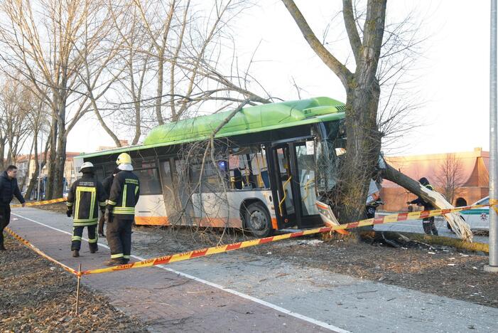 Kraupi avarija Klaipėdoje: autobusas rėžėsi į medį, sužeisti keleiviai 