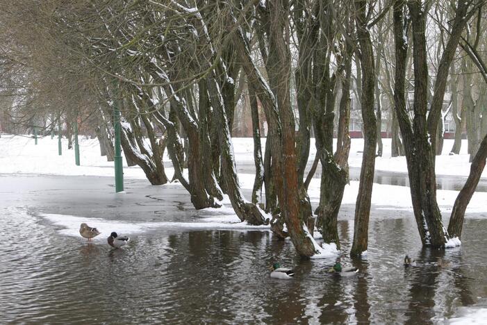 Ieškoti sliekų - į parką