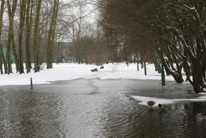 Ieškoti sliekų - į parką