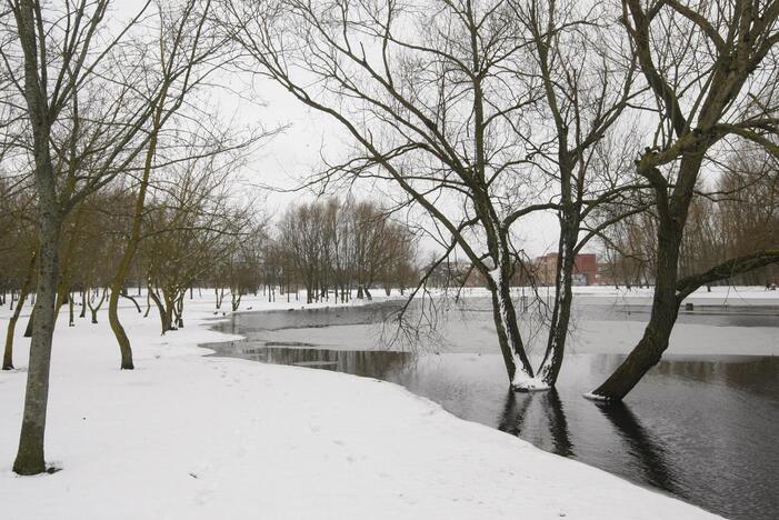 Ieškoti sliekų - į parką