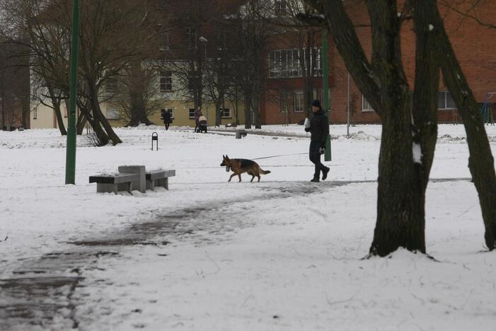 Ieškoti sliekų - į parką