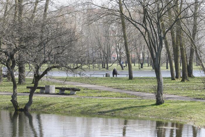 Draugystės parkas tapo šviesesnis