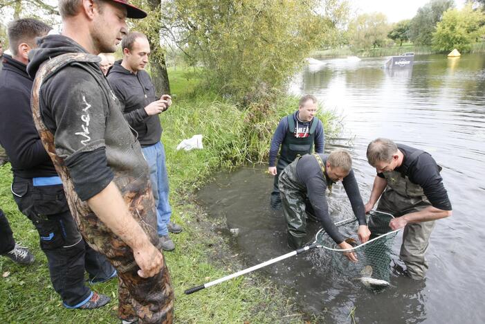 Trinyčiuose apgyvendintas žmogaus dydžio šamas