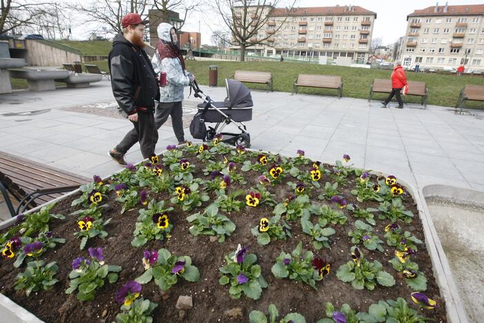 Uostamiesčiui – gėlių žiedai