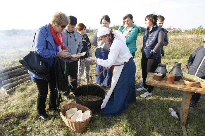 Žardės piliakalnis