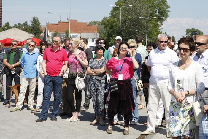 Skulptūros "Bučinys" atidengimas