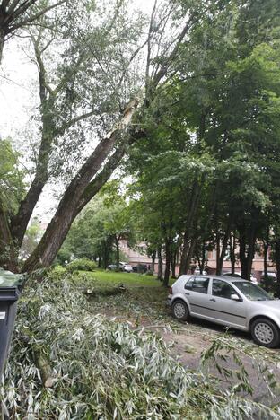 Klaipėdoje siautėja štormas: virsta medžiai, ugniagesiai vos spėja suktis