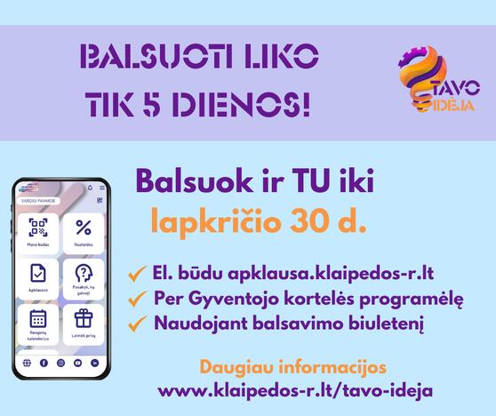 „Tavo idėja“: balsuoti liko vos penkios dienos!