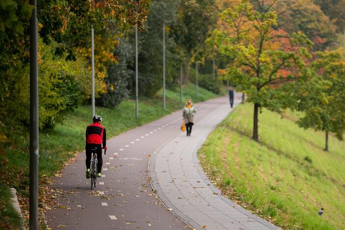 Siūloma investuoti į dviračių ir paspirtukų takus  