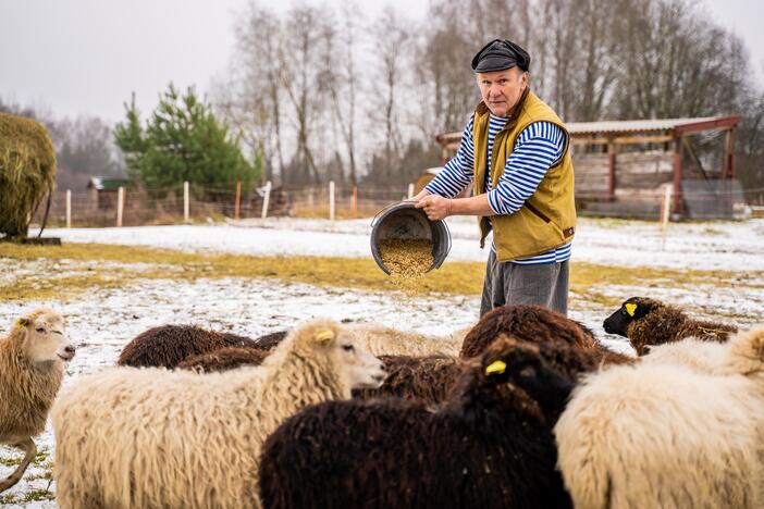 Fotografas A.Kulikauskas: iš Niujorko – į Samantonių kaimą