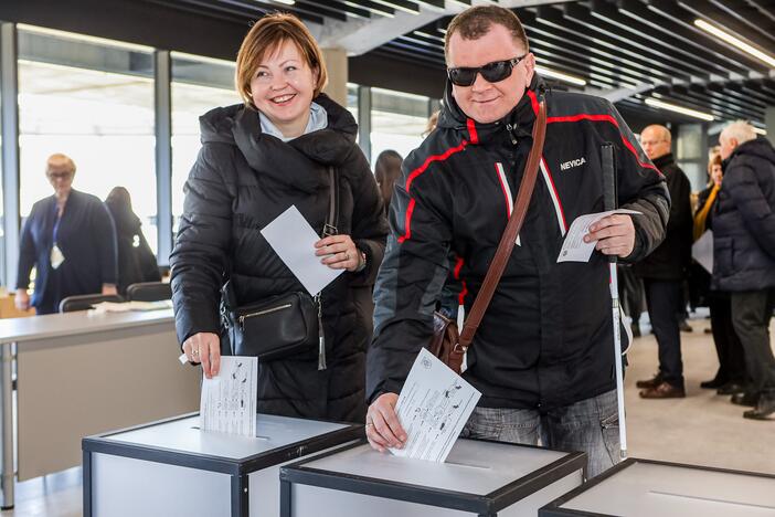 Išankstiniai rinkimai Dariaus ir Girėno stadione