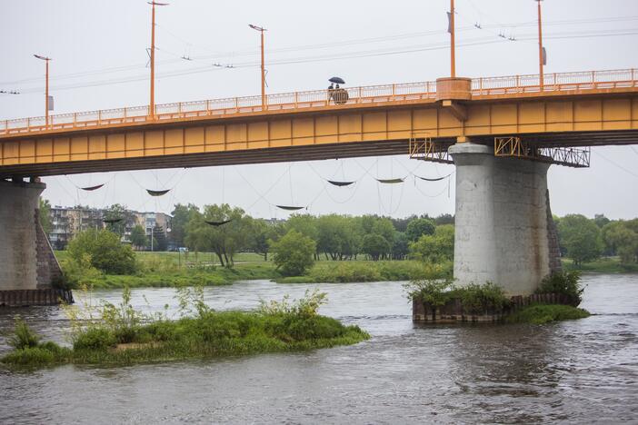 Kaunas ūžia nuo renginių gausos