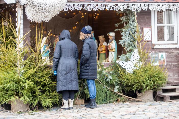 Šeštadienis Rotušės aikštėje