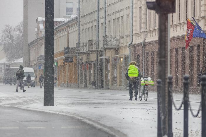 Kauną nuklojo balta sniego skraistė