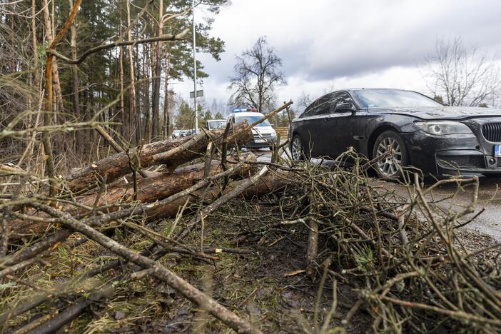 Stipraus vėjo padariniai Vilniaus mieste ir apylinkėse