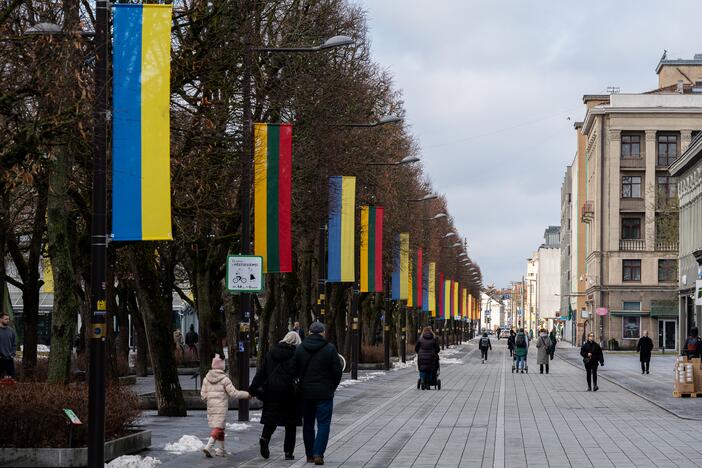 Lietuvos ir Ukrainos vėliavos Laisvės alėjoje