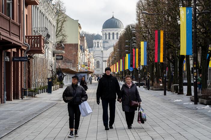 Lietuvos ir Ukrainos vėliavos Laisvės alėjoje