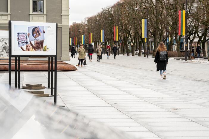 Lietuvos ir Ukrainos vėliavos Laisvės alėjoje