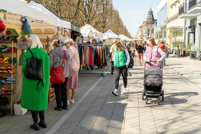 Kaune vyksta mugė „Pavasaris 2023“